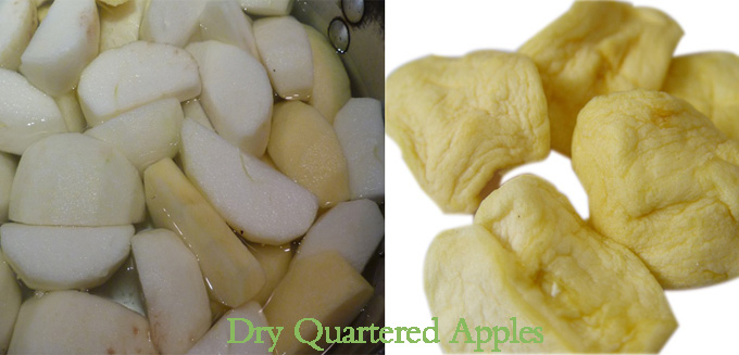Dry Quartered Apples for Sale